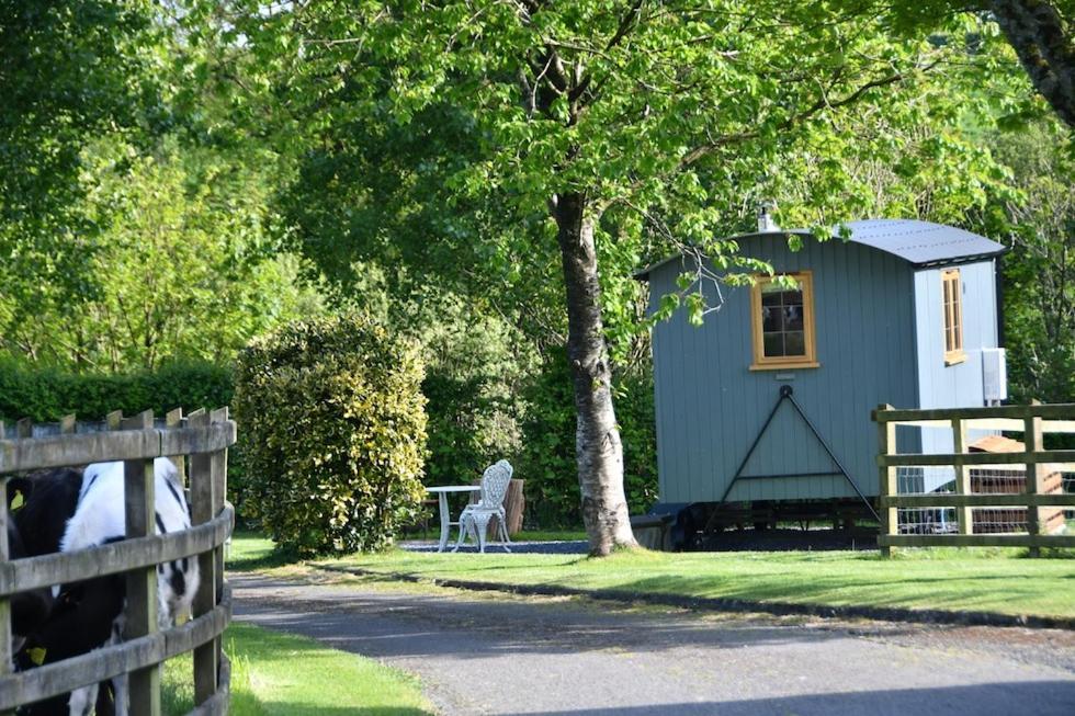The Shepherds Hut Carmarthen Dış mekan fotoğraf